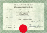 Bear Ch Cert.jpg