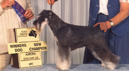 Jasper Aurora 2003.jpg