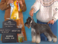 Cricket Wildwood 2005.jpg