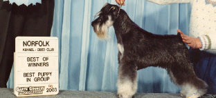 Jasper Norfolk 2003.jpg