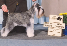 Gadjet Victoria County 1995.jpg