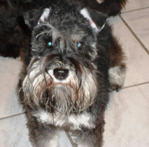 KitKat 12 months.jpg