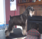 Grooming Presentation.wmv