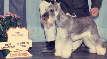 Bear Caledon 1991.jpg