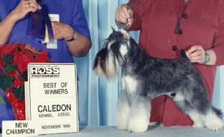 Ganster Caledon 1999.jpg